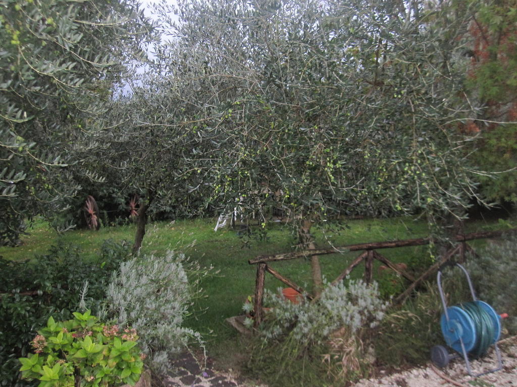 Santa Croce Βίλα Fossato di Vico Εξωτερικό φωτογραφία